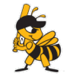 Salt Lake Bees