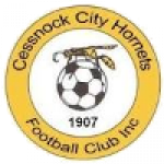 Cessnock City Hornets II