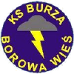 Burza Borowa Wies