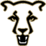 Colorado Springs Mountain Lions