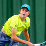 Nedelchev N