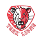 York Lions